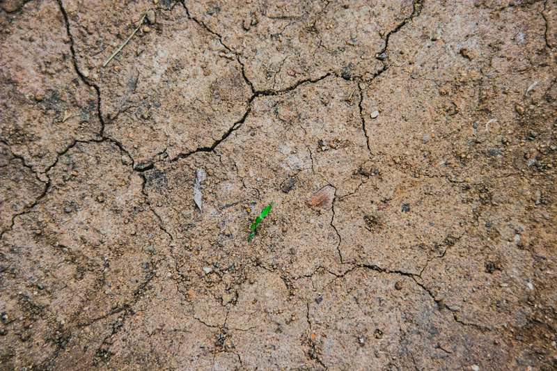 15 Scary Predictions Scientists Have Made About the Future