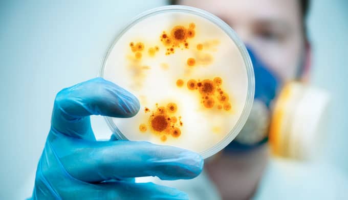 10 Times Scientists Accidentally Created New Life Forms