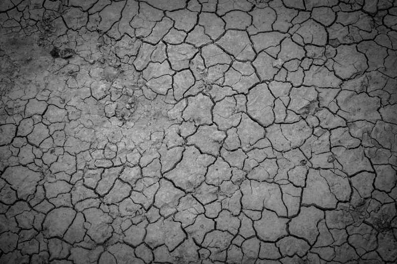 The Desert That’s Secretly Alive: 13 Hidden Ecosystems Scientists Just Found