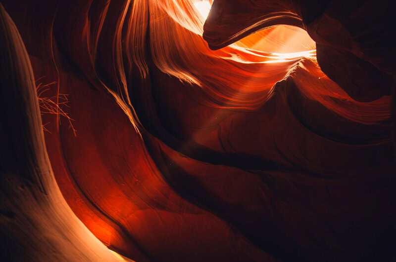 The Desert That’s Secretly Alive: 13 Hidden Ecosystems Scientists Just Found