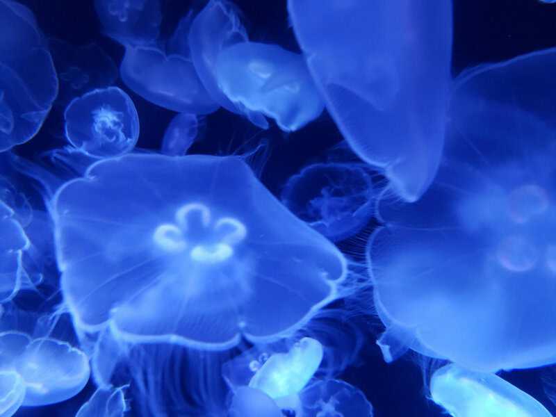 11 Ecosystems So Extreme, Scientists Still Don’t Understand How They Work