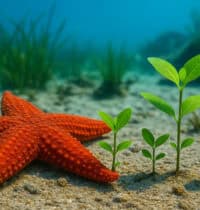 13 Species That Can Regrow Themselves From Almost Nothing