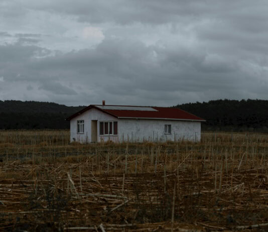 13 Environmental Miracles That Happened When Humans Stepped Back