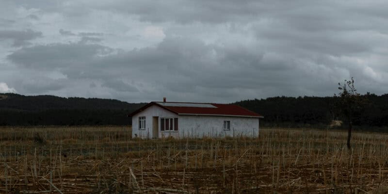 13 Environmental Miracles That Happened When Humans Stepped Back