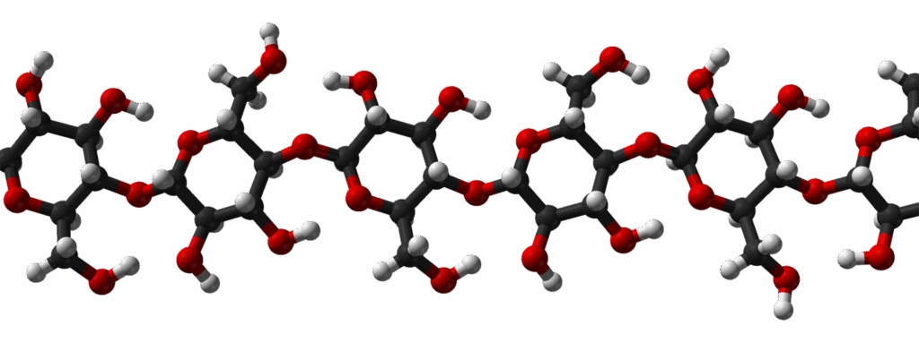 11 Ways Life Could Have Evolved Without DNA