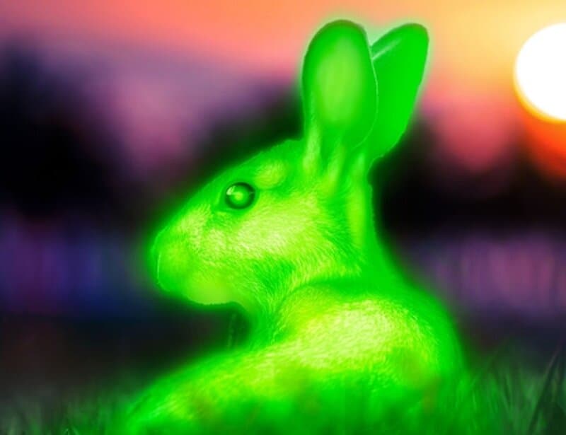 10 Times Scientists Accidentally Created New Life Forms