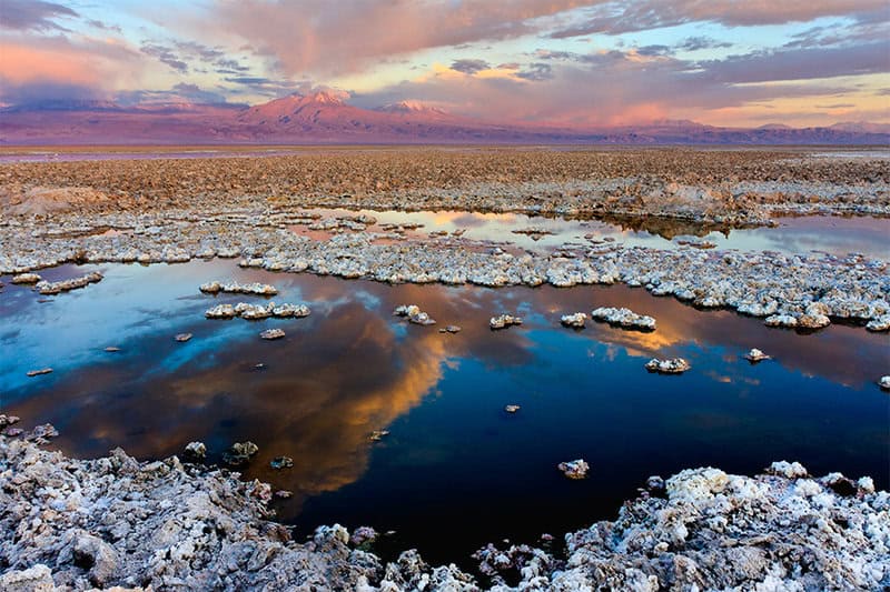 The Desert That’s Secretly Alive: 13 Hidden Ecosystems Scientists Just Found