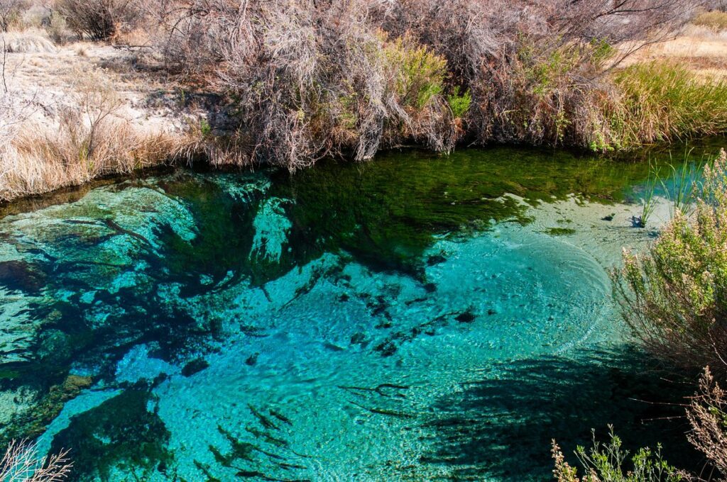 The Desert That’s Secretly Alive: 13 Hidden Ecosystems Scientists Just Found
