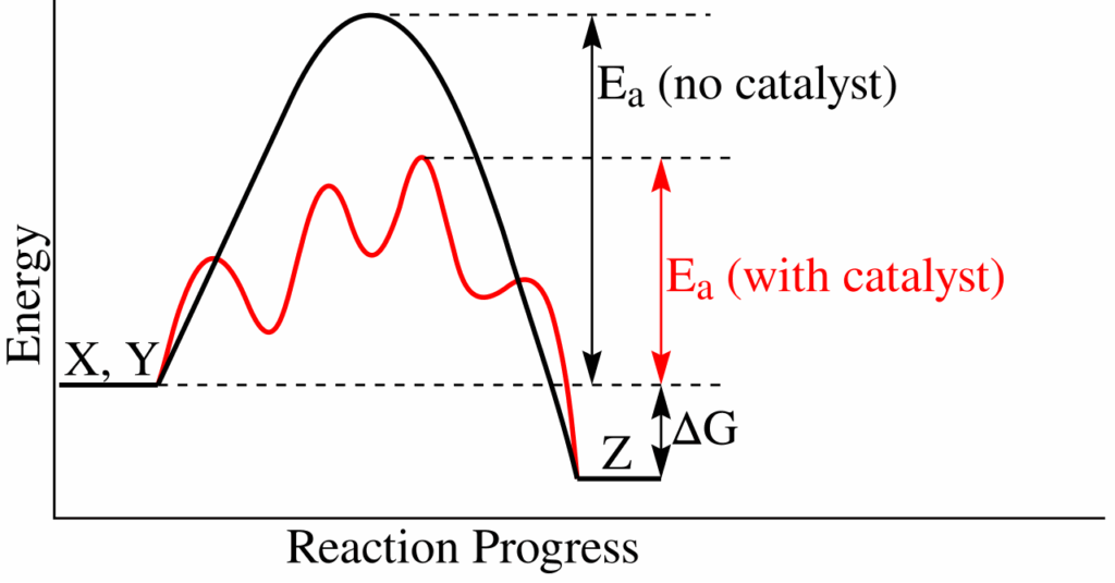 11 Ways Life Could Have Evolved Without DNA