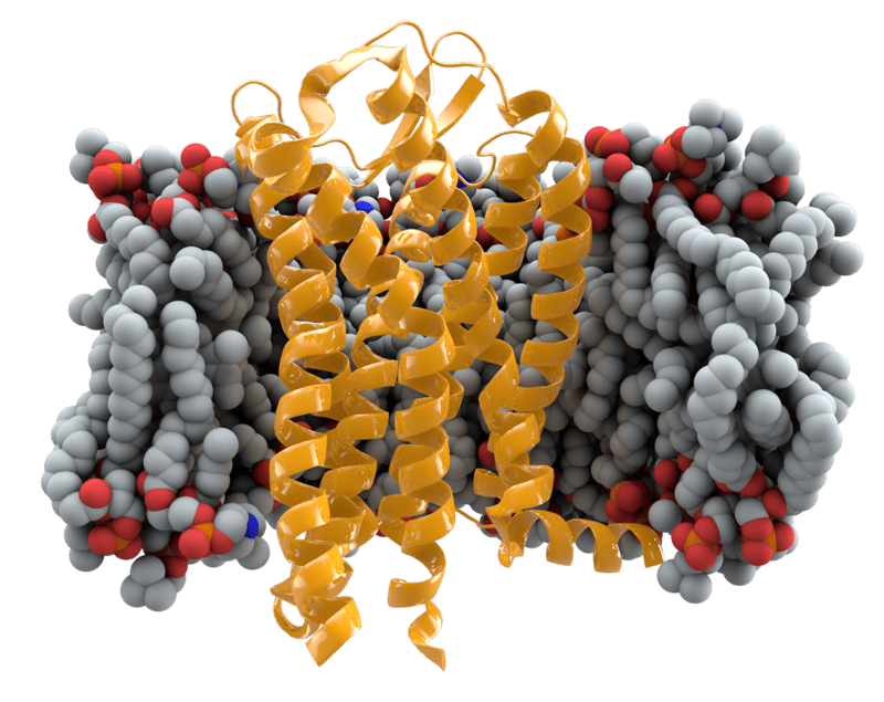 14 Facts About the Gene Editing Experiment That Terrified the World: The CRISPR Babies Scandal