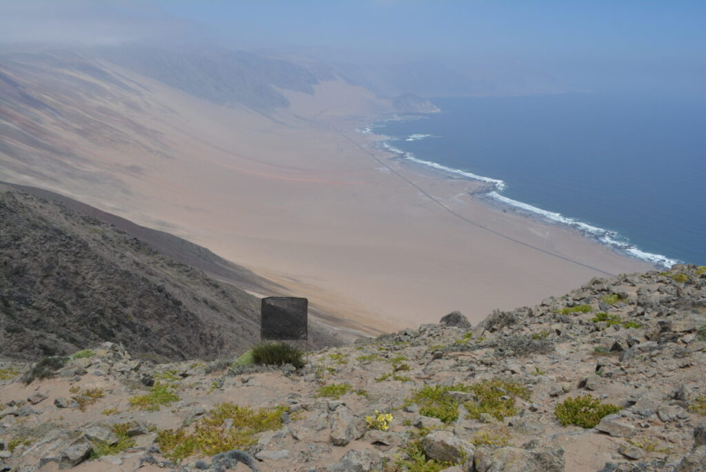 The Desert That’s Secretly Alive: 13 Hidden Ecosystems Scientists Just Found