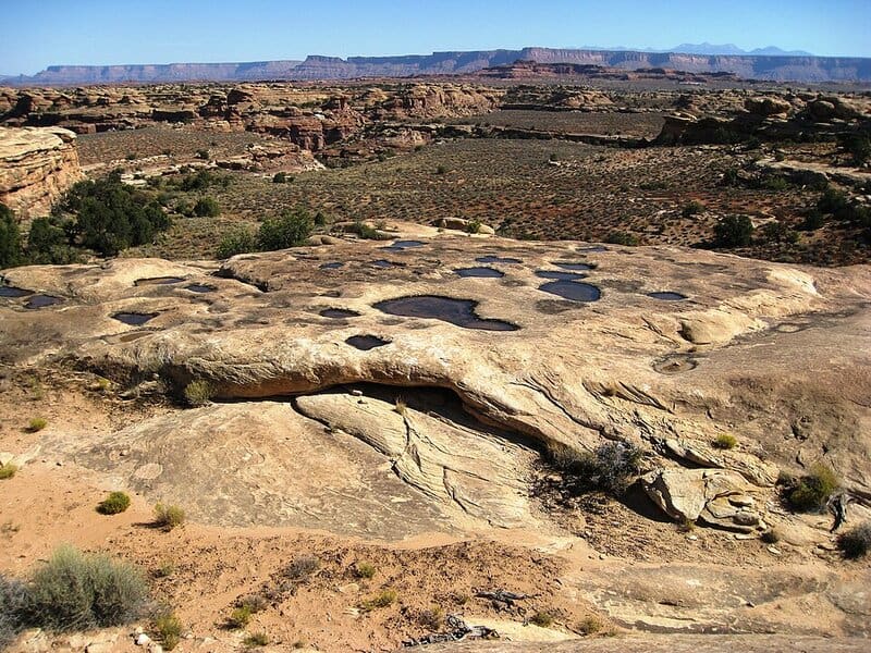 The Desert That’s Secretly Alive: 13 Hidden Ecosystems Scientists Just Found