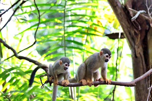 12 Ancient Viruses Still Living Inside Your DNA