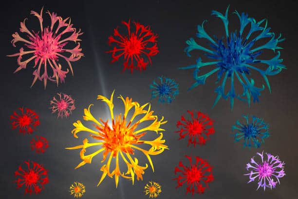 What If Trees Could Talk? 14 Reasons Why Scientists Are Starting to Think They Do