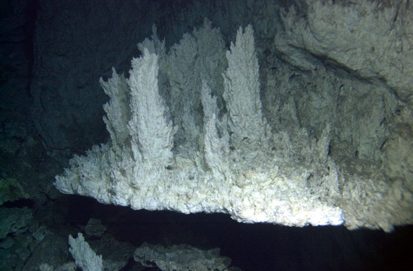 15 Times Scientists Found Something in the Ocean They Couldn’t Explain