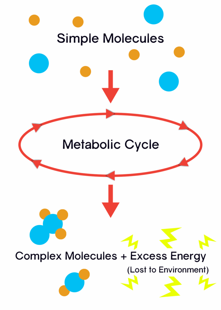 11 Ways Life Could Have Evolved Without DNA