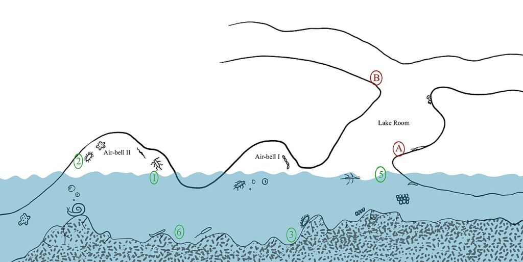 11 Ecosystems So Extreme, Scientists Still Don’t Understand How They Work
