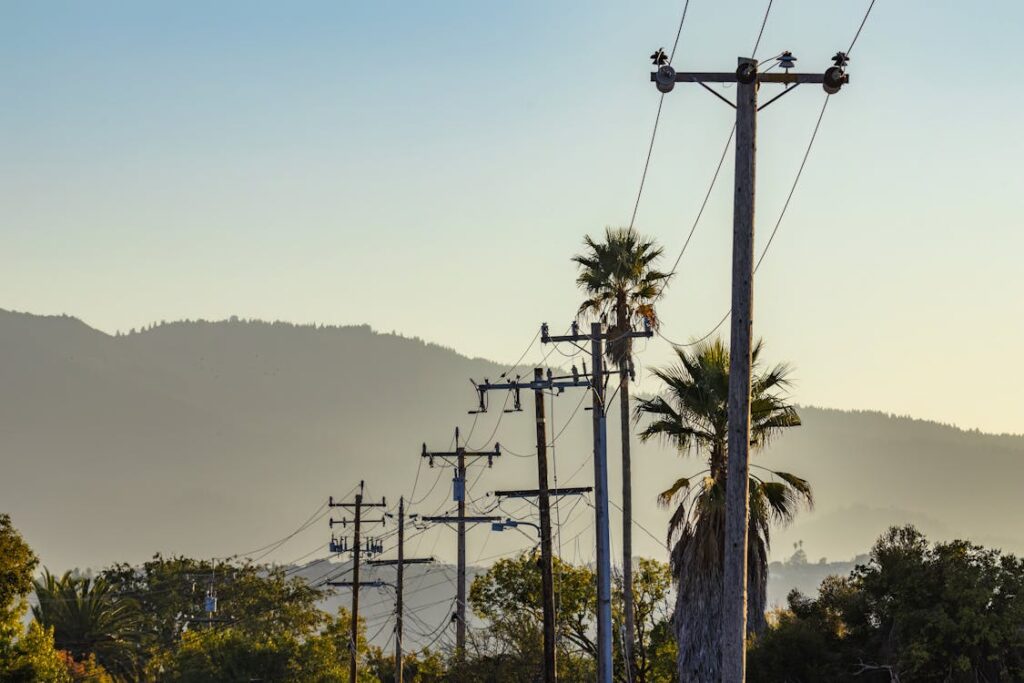 What If Trees Could Talk? 14 Reasons Why Scientists Are Starting to Think They Do