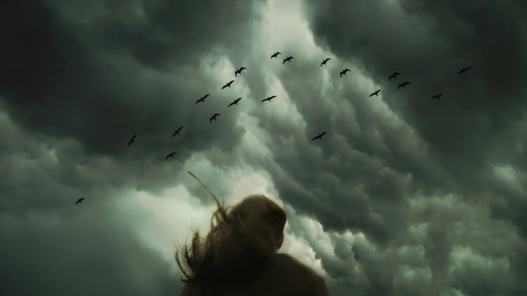 13 Ways Animals Can Sense Disasters Before They Happen