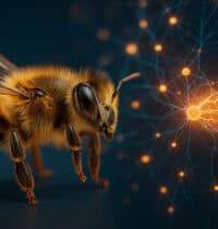 11 Astonishing Ways Bees Are Smarter Than You Think
