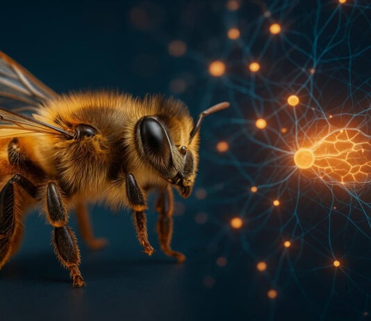 11 Astonishing Ways Bees Are Smarter Than You Think