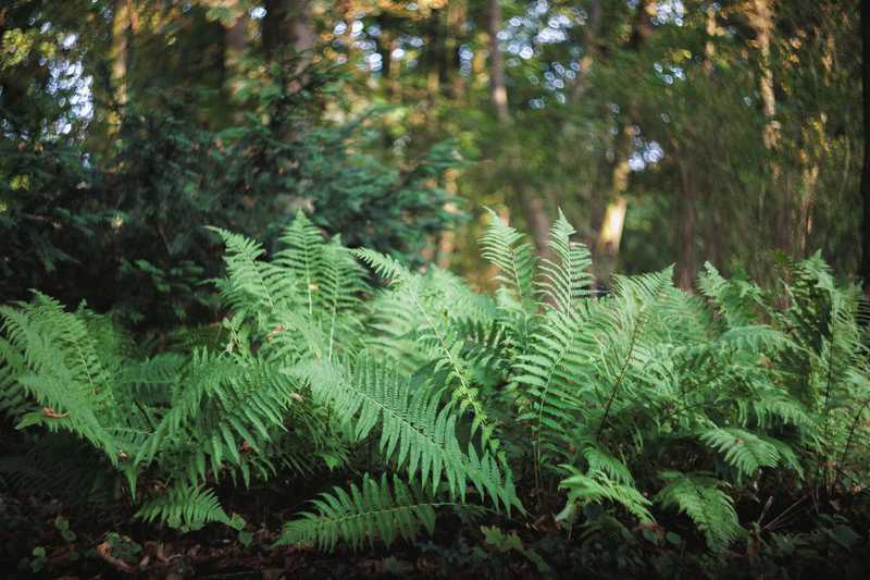 10 Invisible Processes That Keep Earth Alive and Functioning