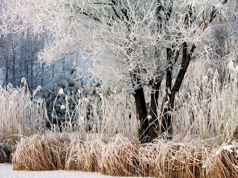 12 Extreme Cold Events That Completely Shattered Records