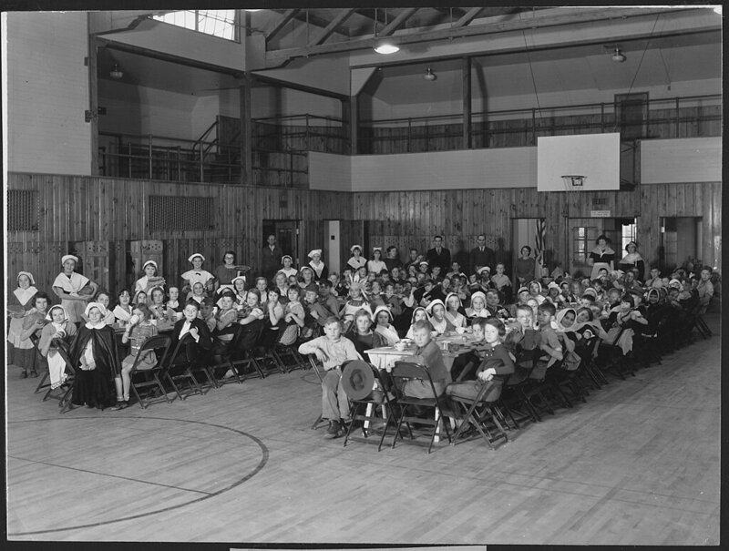 The Science of the Harvest: 10 Ways Early Agriculture Shaped Thanksgiving