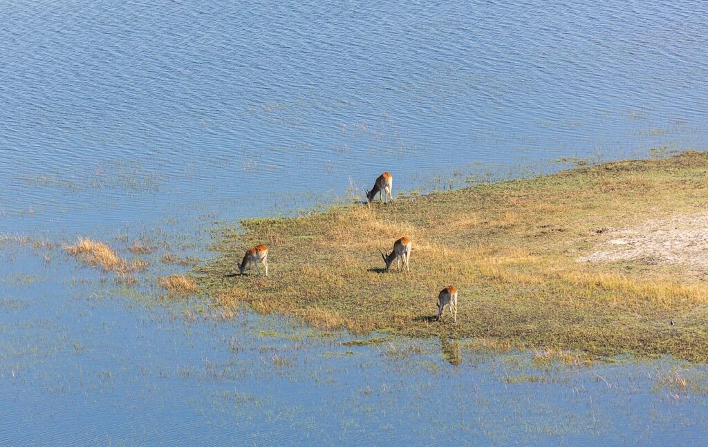 10 Natural Phenomena That Only Happen in One Hemisphere