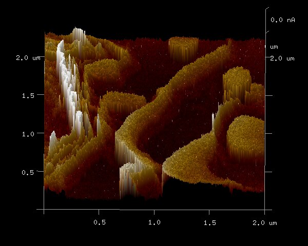 11 Emerging Fields of Science You’ve Never Heard Of