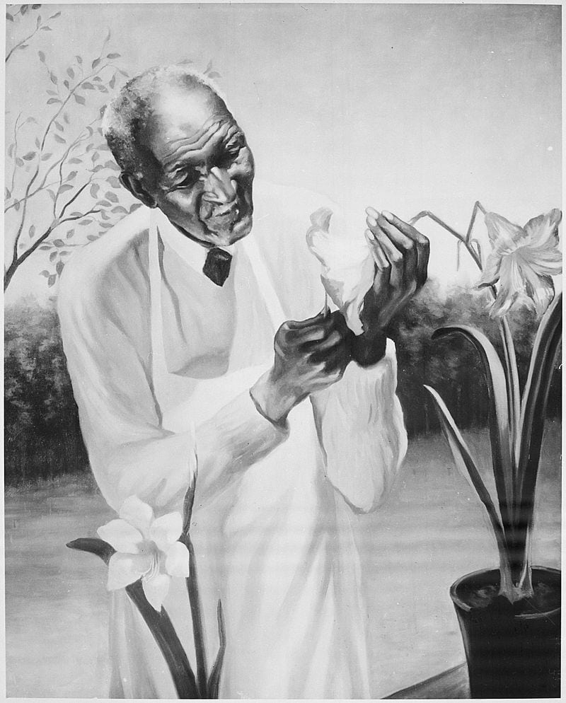 11 George Washington Carver Experiments That Turned Plants Into Miracles