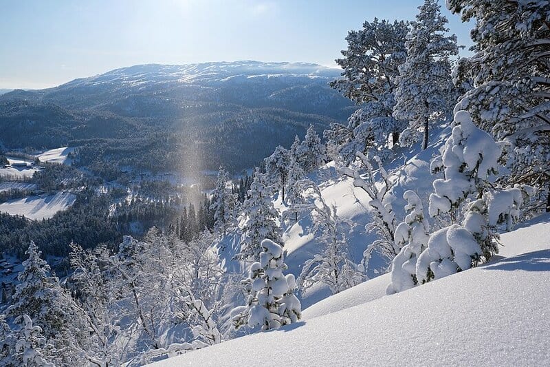 13 Bizarre Phenomena That Only Happen at the North Pole