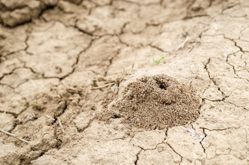 9 Times Nature Solved a Problem Before Scientists Could