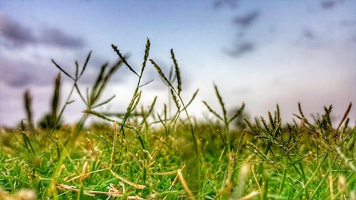 10 Invisible Processes That Keep Earth Alive and Functioning