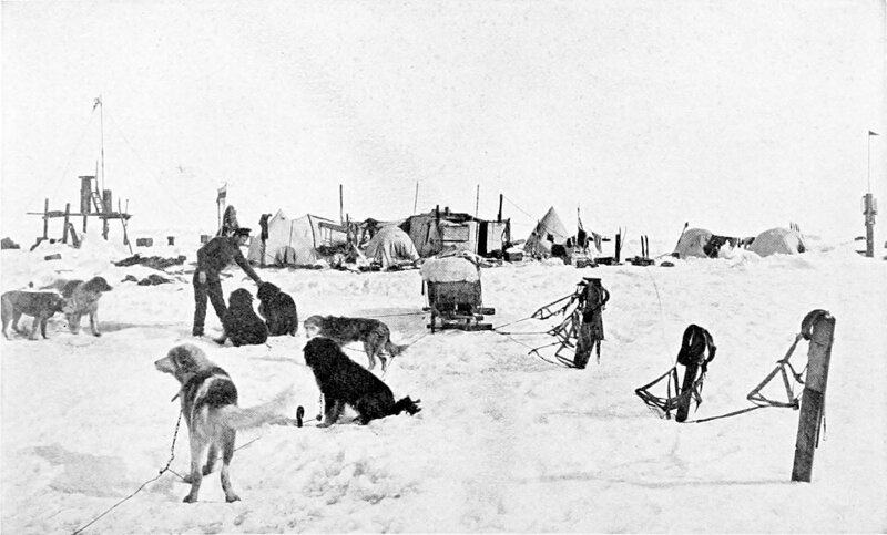 13 Ernest Shackleton Survival Stories That Defied All Logic