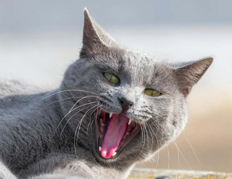 Everyday Things Science Still Can&rsquo;t Fully Explain