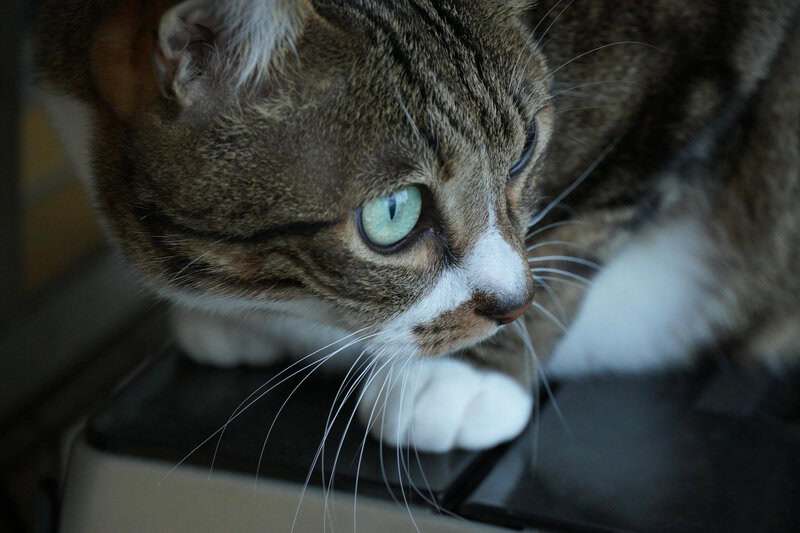 Everyday Things Science Still Can&rsquo;t Fully Explain