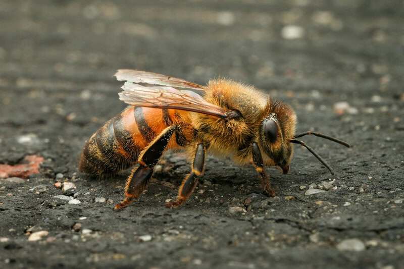 Everyday Things Science Still Can&rsquo;t Fully Explain