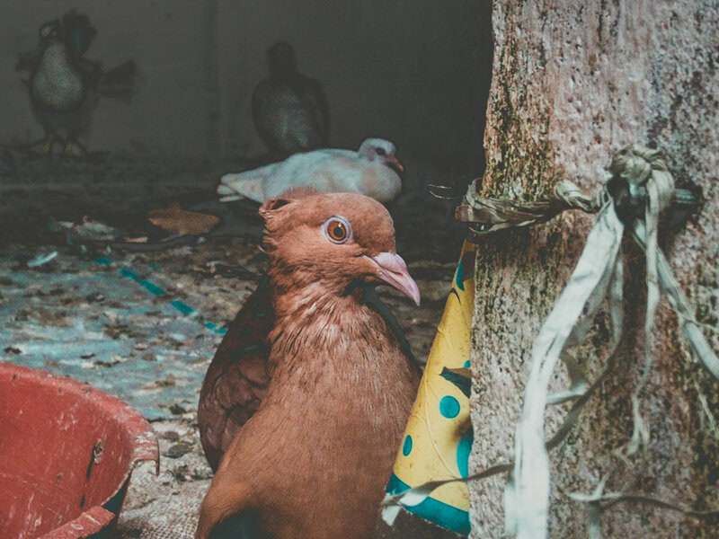 Everyday Things Science Still Can&rsquo;t Fully Explain