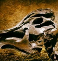 Geologists Uncover World’s Biggest High-Grade “Supergiant Gold Deposit” Worth $83 Billion