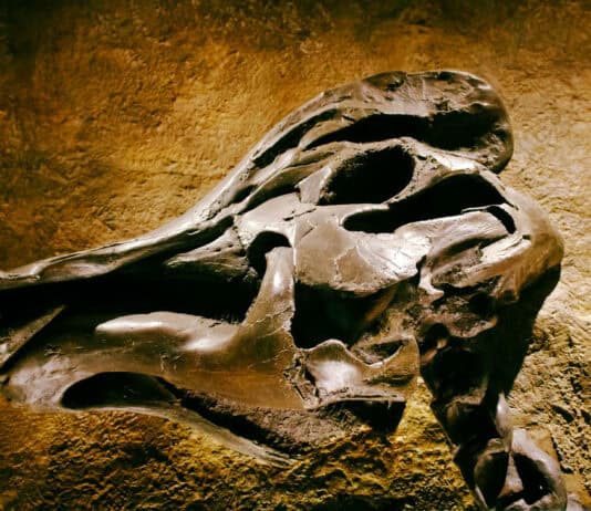 Geologists Uncover World’s Biggest High-Grade “Supergiant Gold Deposit” Worth $83 Billion