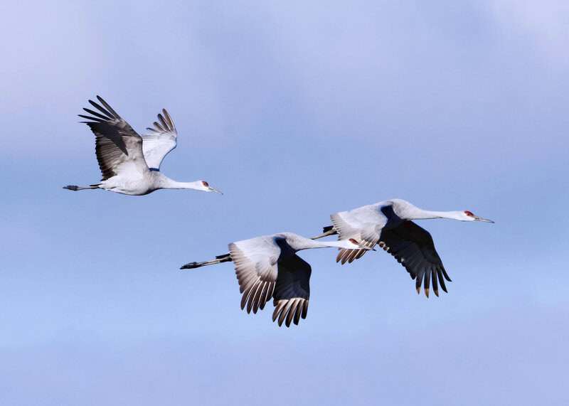 Things Science Still Can&rsquo;t Fully Explain