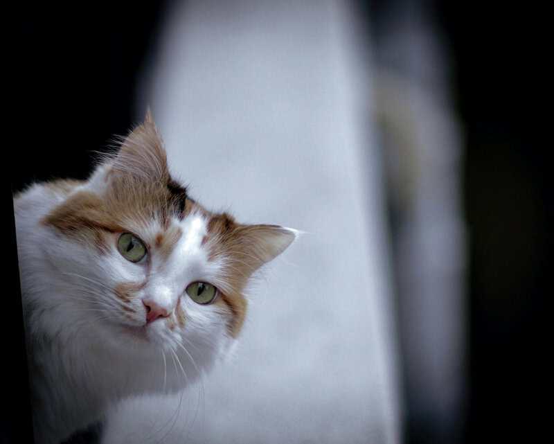 Ethical Questions Scientists Are Facing Right Now