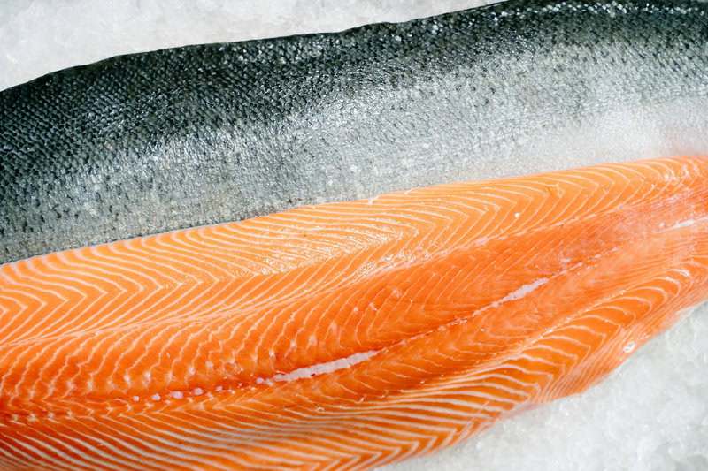 Animals That Survive Conditions No Human Could