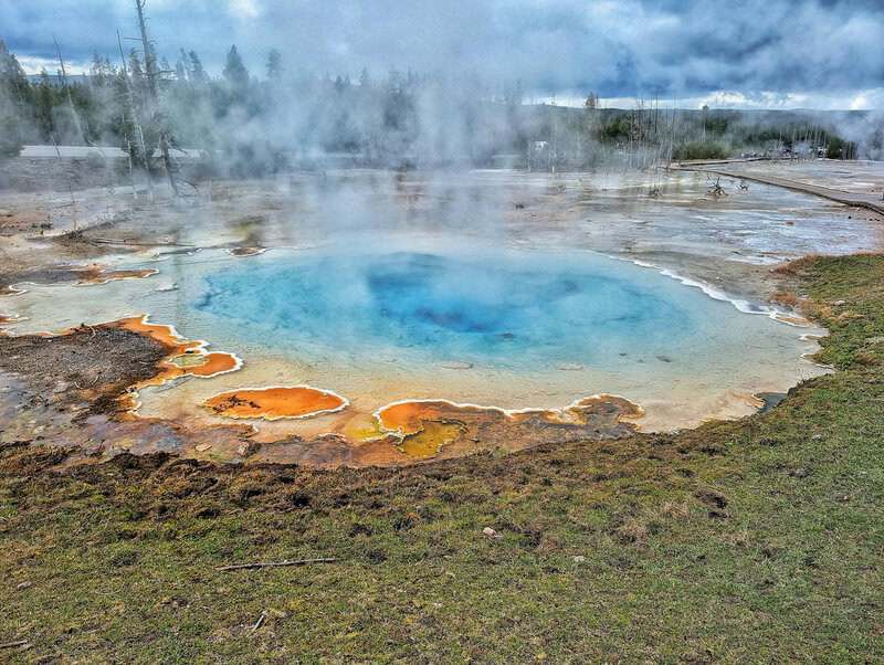 Animals That Survive Conditions No Human Could