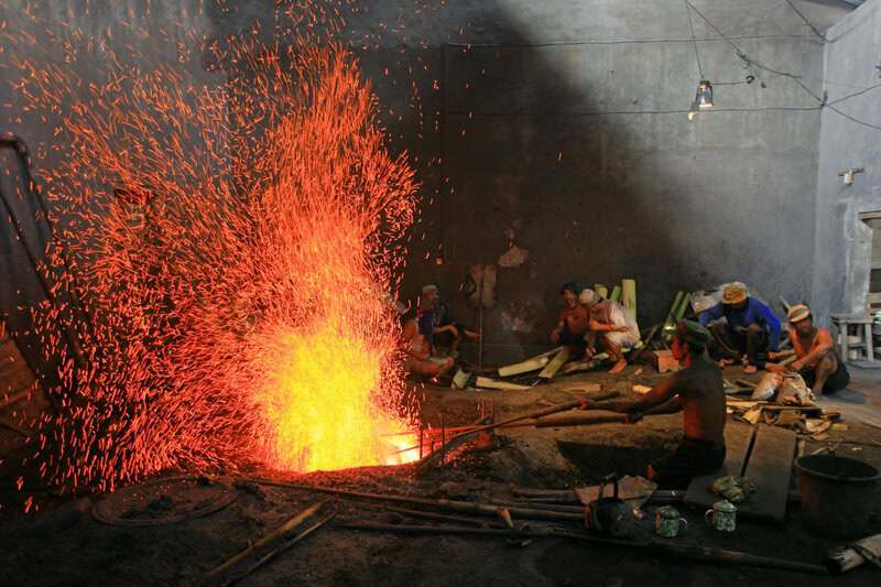 Plants That Can Sense Their Environment