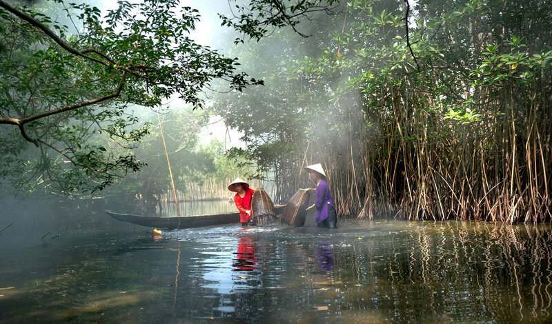 Animals That Survive Conditions No Human Could