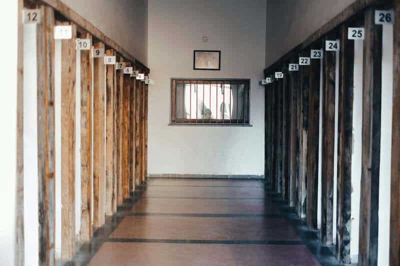 Discoveries in Nature That Rewrote Biology