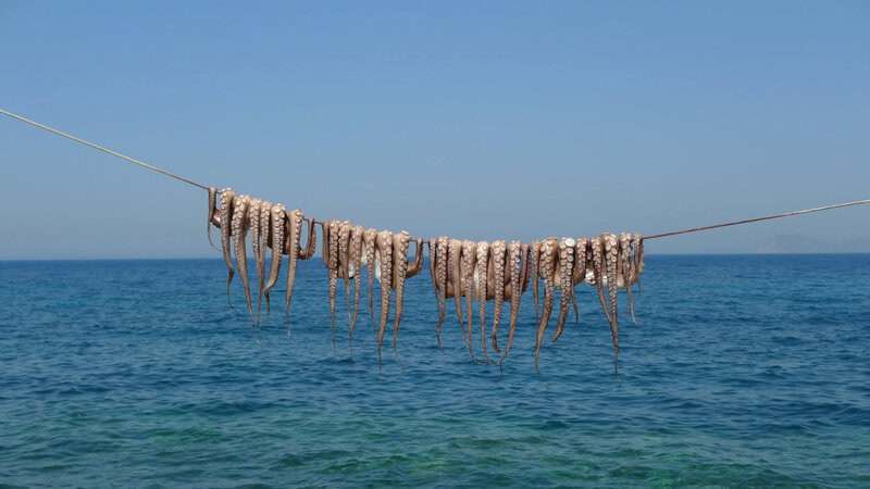 Science Facts That Sound Fake but Are 100% True