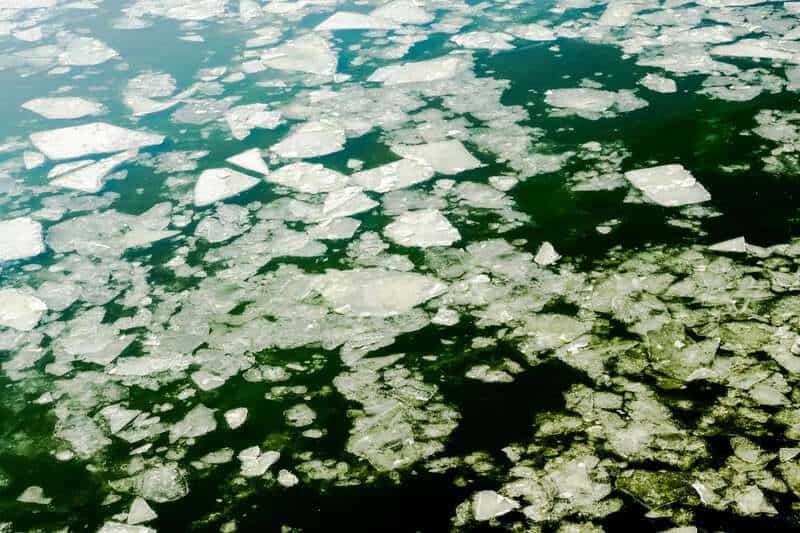 Science Facts That Sound Fake but Are 100% True